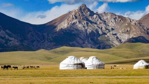 К чему снится юрта, лошадь или горы